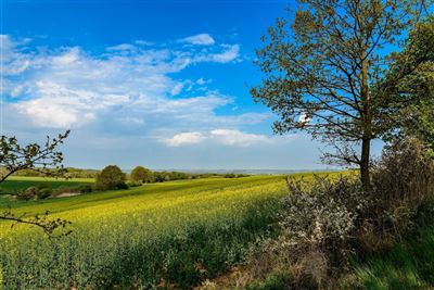 Mecklenburgische Schweiz_Landschaft